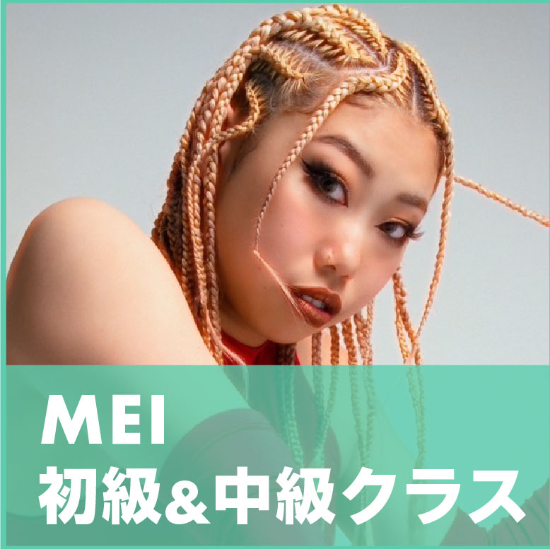 MEIの画像